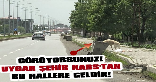 Bu Bir Uygar Kent Kars Haberidir!