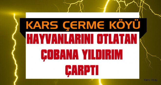 Çerme'de Çobanı Yıldırım Çarptı