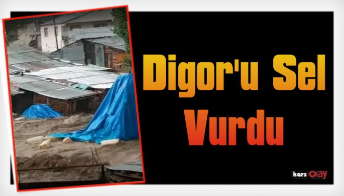 Digor'u Sel Vurdu