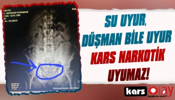 İranlı Uyuşturucu Kuryesi Kars'ta Yakalandı