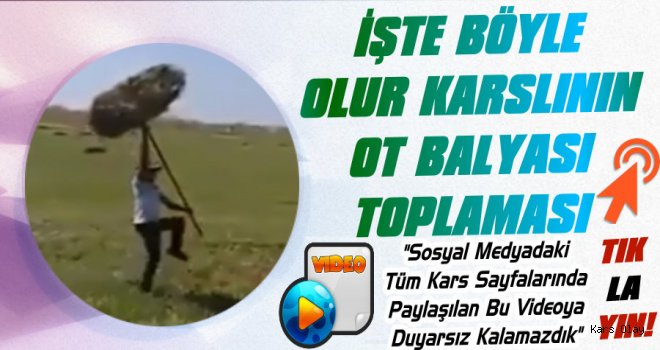 İşte Böyle Olur Karslının Ot Balyası Toplaması!