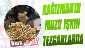 Kağızman'da Yayla Muzu Işkın Piyasaya Çıktı