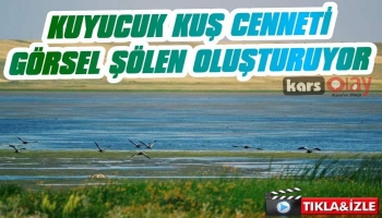 Kars’ın Kuyucuk Kuş Cenneti Görsel Şölen Oluşturuyor