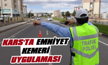 Kars Polisinden Emniyet Kemeri Uygulaması