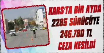 Kars'ta 1 Ayda 246 bin 780 TL Ceza Kesildi