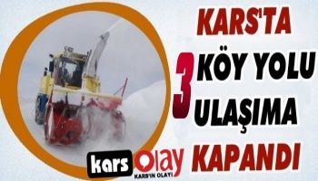 Kars'ta 3 Köy Yolu Ulaşıma Kapandı