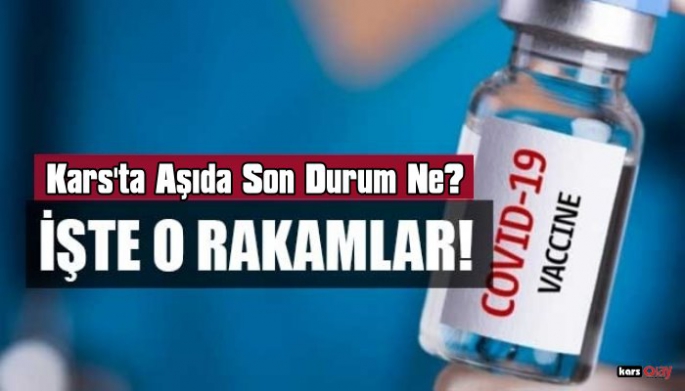 Kars'ta aşıda son durum ne? 