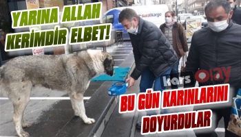 Kars’ta Sokak Hayvanlarına Mama Desteği