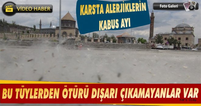 Kars'a Bu Sefer Kar Değil, Ağaç Poleni Yağıyor!