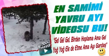 Karslı Ablanın Samimi Ayı Videosu