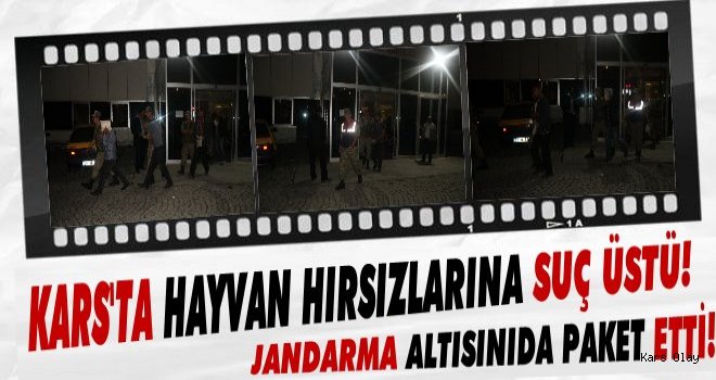 Kars'ta 6 Hayvan Hırsızı Tutuklandı