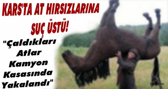 Kars'ta At Hırsızlarına Suç Üstü