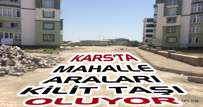 Kars'ta Bağlantı Yolları Kilit Taşı Oluyor