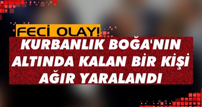 Kars'ta Bir Kişi Kurbanlık Boğa'nın Altında Kalarak Ağır Yaralandı