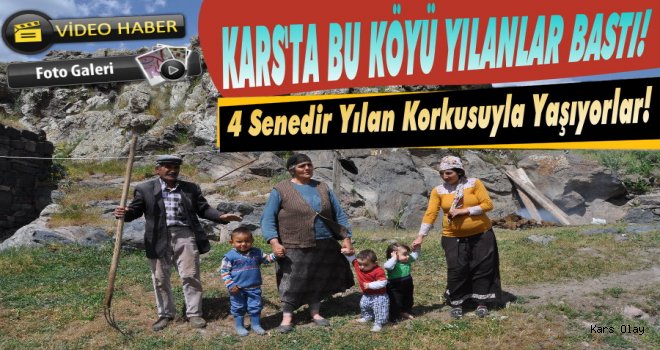 Kars'ta Bu Köyü Yılanlar Bastı!