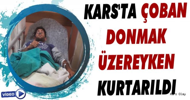 Kars'ta Çoban Arazide Donmak Üzereyken Kurtarıldı