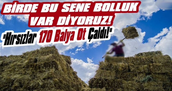 Kars'ta Hırsızlar 170 Balya Ot Çaldılar!