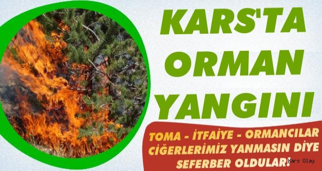 Kars'ta Orman Yangını