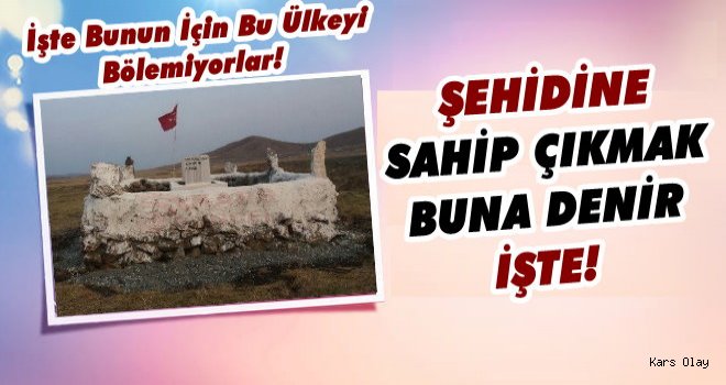 Kars'ta Şehit Mezarını Vatandaş Yaptı