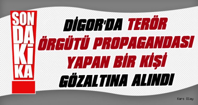 Kars'ta terör propagandası yapan bir kişi gözaltına alındı