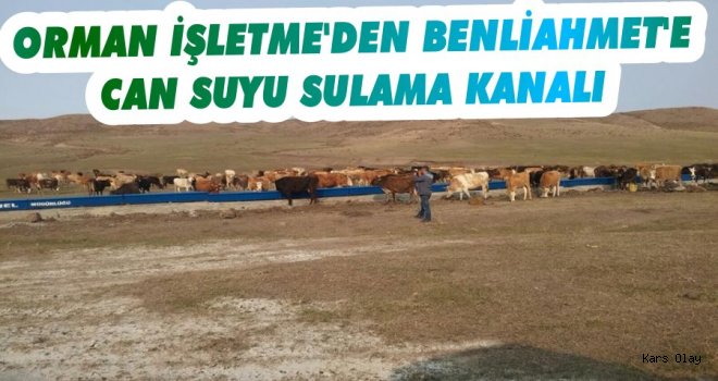 Orman İşletme'den Benliahmet'e Can Suyu Sulama Kanalı