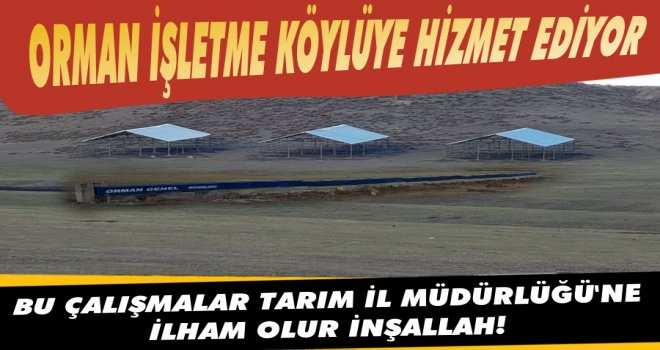 Orman İşletmenin Mera Islahı Köylüyü Memnun Etti