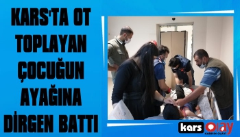 Ot Toplayan Çocuğun Ayağına Diren Battı