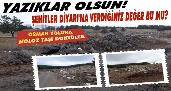 Sarıkamış Halkı Ormanları Kirletenlerden Hesap Sorulmasını İstiyor