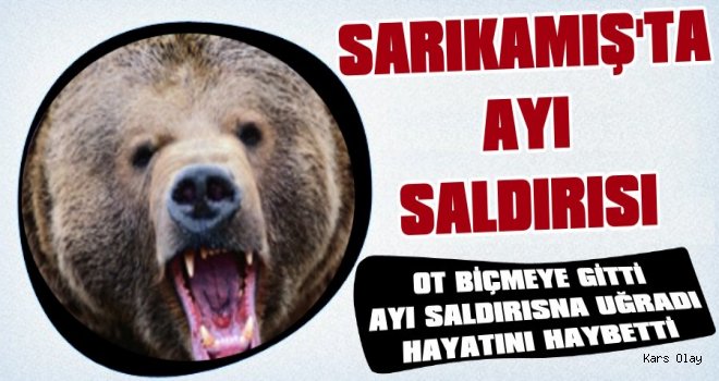 Sarıkamış'ta Ayı Saldırısı: 1 Ölü