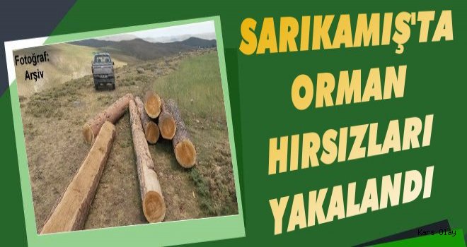 Sarıkamış'ta Orman Kanununa Muhalefet