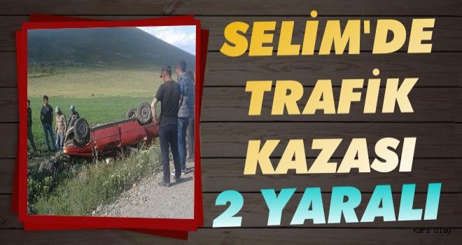 Selim'de Trafik Kazası: 2 Yaralı