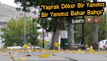 Sonbaharın Habercisi Yaprak Dökümü Başladı