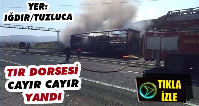 Tuzluca'da Tır'a Ait Dorse Cayır Cayır Yandı